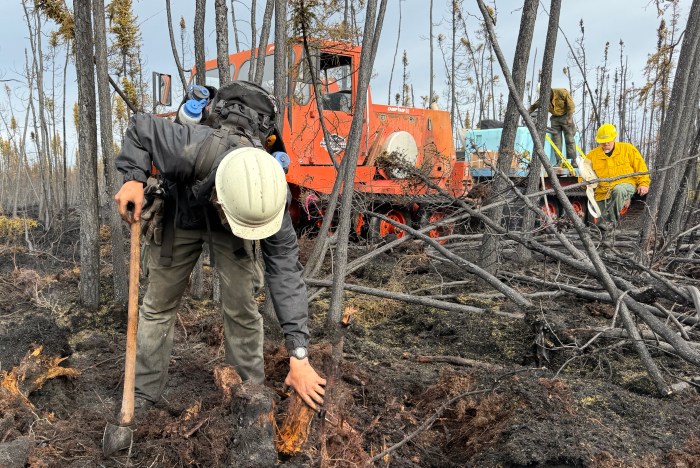 White Mountain Crewmember feels for any remaining heat along the Rapeseed Fire outside of Delta Junction on June 24 2026