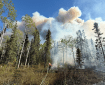 A firefighter uses a hose to spray down the edge of a forest fire while a large column of smoke looms in the background.