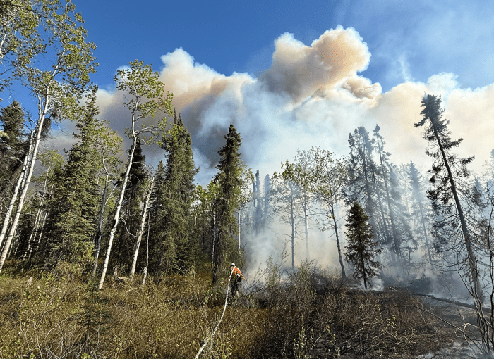 A firefighter uses a hose to spray down the edge of a forest fire while a large column of smoke looms in the background.