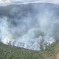 Smoke rises from a fire burning on a ridge in black and white spruce.
