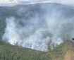 Smoke rises from a fire burning on a ridge in black and white spruce.