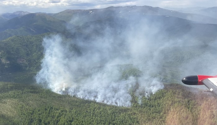 Smoke rises from a fire burning on a ridge in black and white spruce.