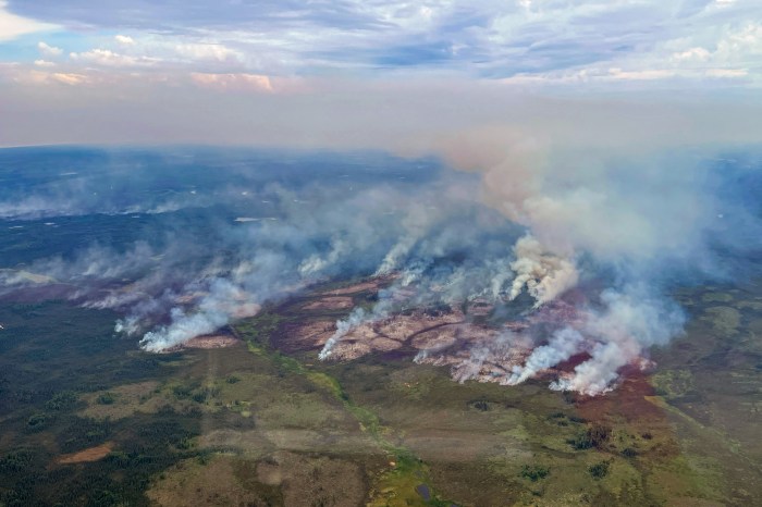 Light-colored wildfire smoke is seen rising from a mostly green landscape in a photo taken from the air.