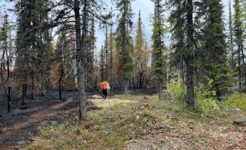 A person carries multiple hoses through a forest that is partially burned by a wildfire