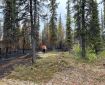 A person carries multiple hoses through a forest that is partially burned by a wildfire