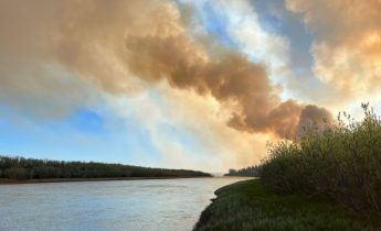 A large column of smoke drifts up from a forest fire burning next to a driver