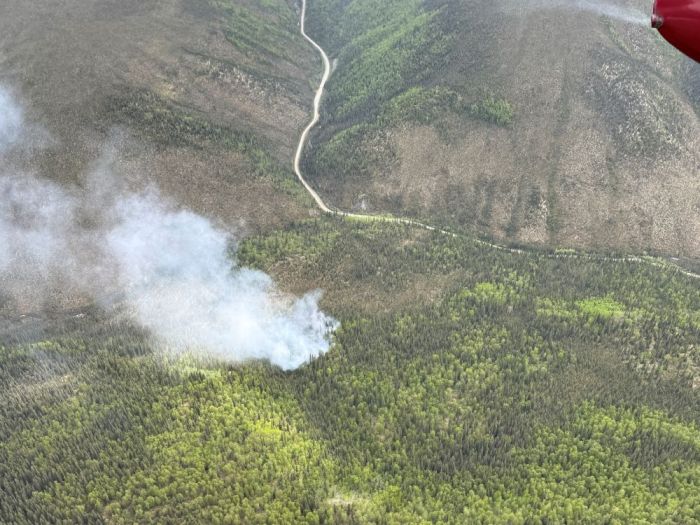 Smoke drifts up from a forest fire near a roadway.