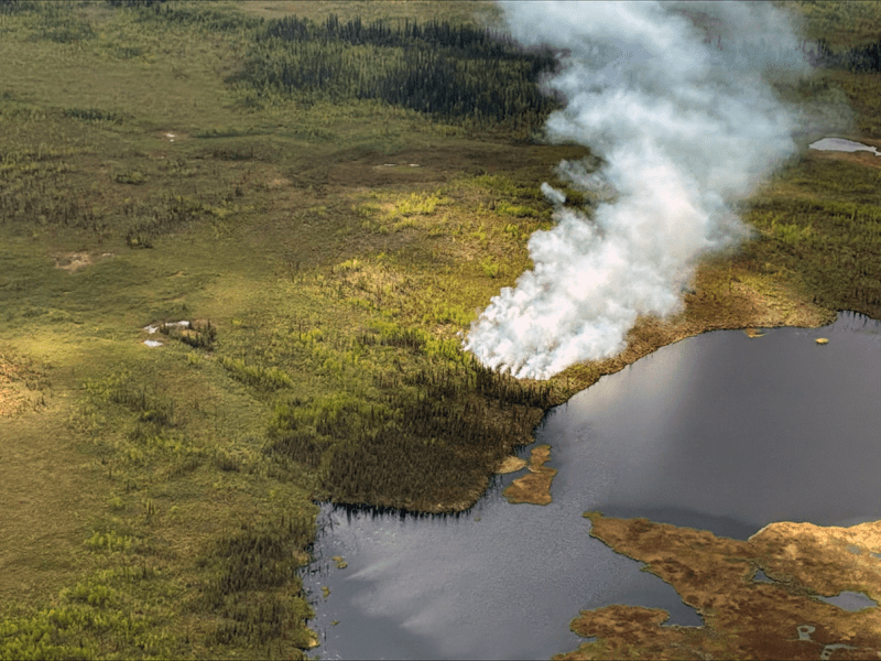 A smoke column from a forest fire next to a lake.