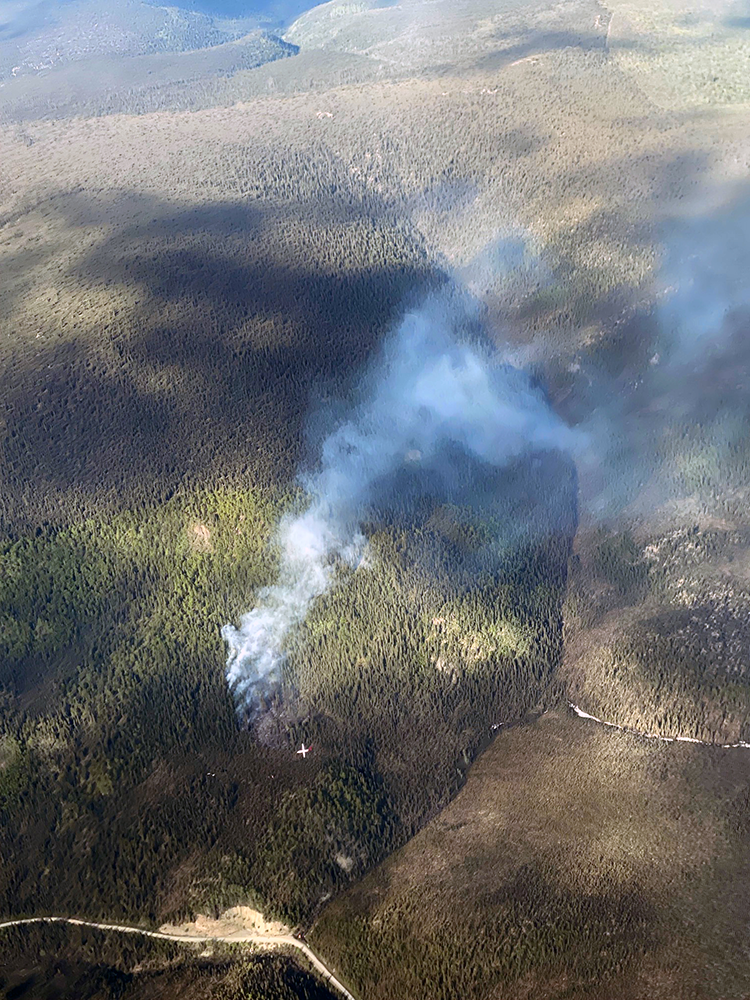 Smoke drifts up from a forest fire near a road.