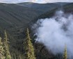 A heavily forested valley with white wildfire smoke rising from the hill on the right side of the image.