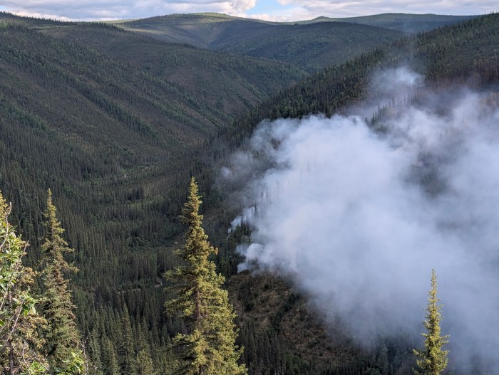 A heavily forested valley with white wildfire smoke rising from the hill on the right side of the image.