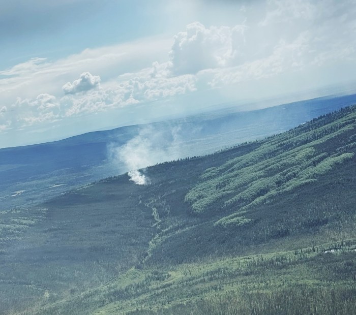Aerial view of the initial photo of the Anaconda Fire. The bottom 60% of the photo is rolling green landscape with spruce trees. A small smoke rises in the center of the photo.