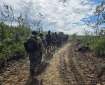A line of firefighters in protective gear walks single file on a graded dirt liine. The sky is filled mainly with shite clouds and there is short vegetation on either side of them.