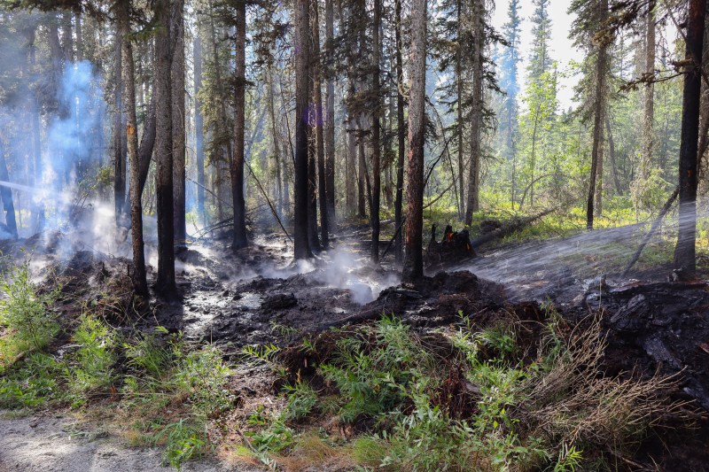 Photo of burned area in black spruce with light smoke surrounded by green vegetation. Water streams from two hoses are on either side of photo.