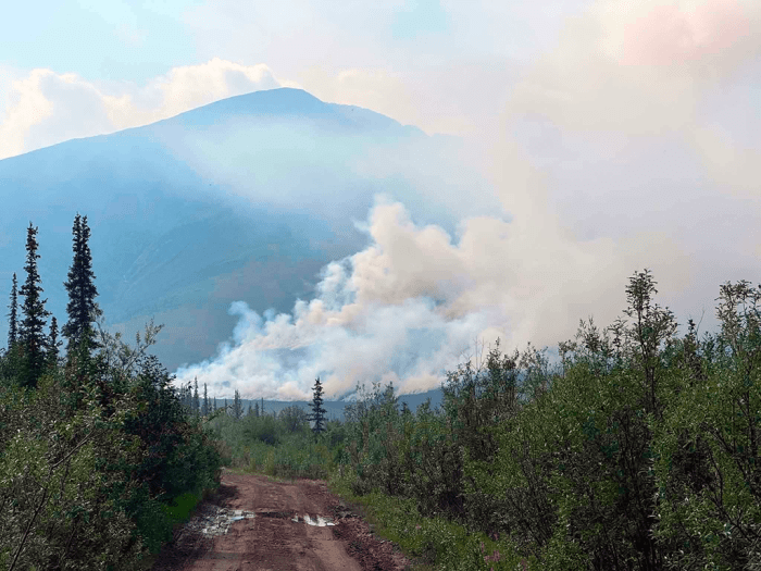 Smoke rises up from a wildfire burning in timber. A mountain is in the background and a dirt road is in the foreground.