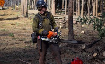 A firefighter holds a chainsaw while standing on the edge of a cut tree line along a roadway. A red fuel can and two Pulaski tools are at his feet.