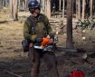 A firefighter holds a chainsaw while standing on the edge of a cut tree line along a roadway. A red fuel can and two Pulaski tools are at his feet.