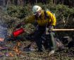 A firefighter holding a tool in one hand and a red drip torch in his other hand lights woody debris on fire.