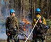 Two firefighters talk while watching a woody debris pile burn at the edge of a forest.