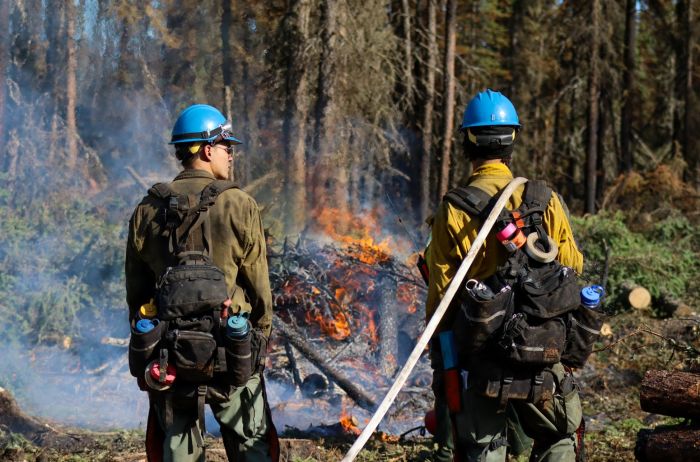 Two firefighters talk while watching a woody debris pile burn at the edge of a forest.