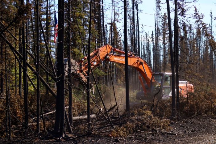 An orange excavator digs up burned trees in a burned forest.