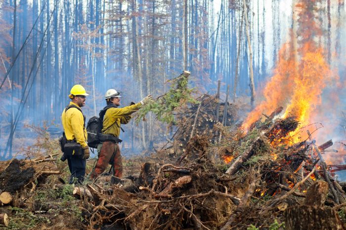 A firefighter tosses a spruce branch into a burning pile of woody debris while another firefighter watches. Both are wearing protective gear.