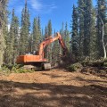 An orange tracked excavator works on a cleared fire line in a boreal forest, moving soil and woody debris during suppression-repair operations on the Mukluk Fire.