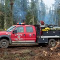 A red Willow Fire Department wildland fire engine is parked in a wooded, fire-impacted area near Tok, Alaska, with firefighters and light smoke visible in the background from pile burning.