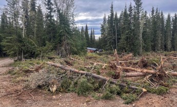 A recently repaired helicopter landing spot in a boreal forest, with an excavator-cleared dirt surface in the foreground and piles of downed conifer trees and brush along its edge. Tall spruce and birch trees surround the site, and a small structure is visible beyond the clearing under an overcast sky.