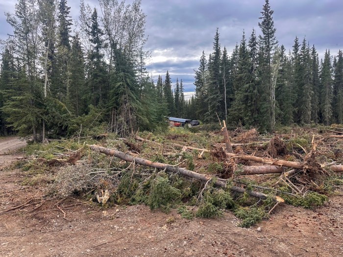 A recently repaired helicopter landing spot in a boreal forest, with an excavator-cleared dirt surface in the foreground and piles of downed conifer trees and brush along its edge. Tall spruce and birch trees surround the site, and a small structure is visible beyond the clearing under an overcast sky.